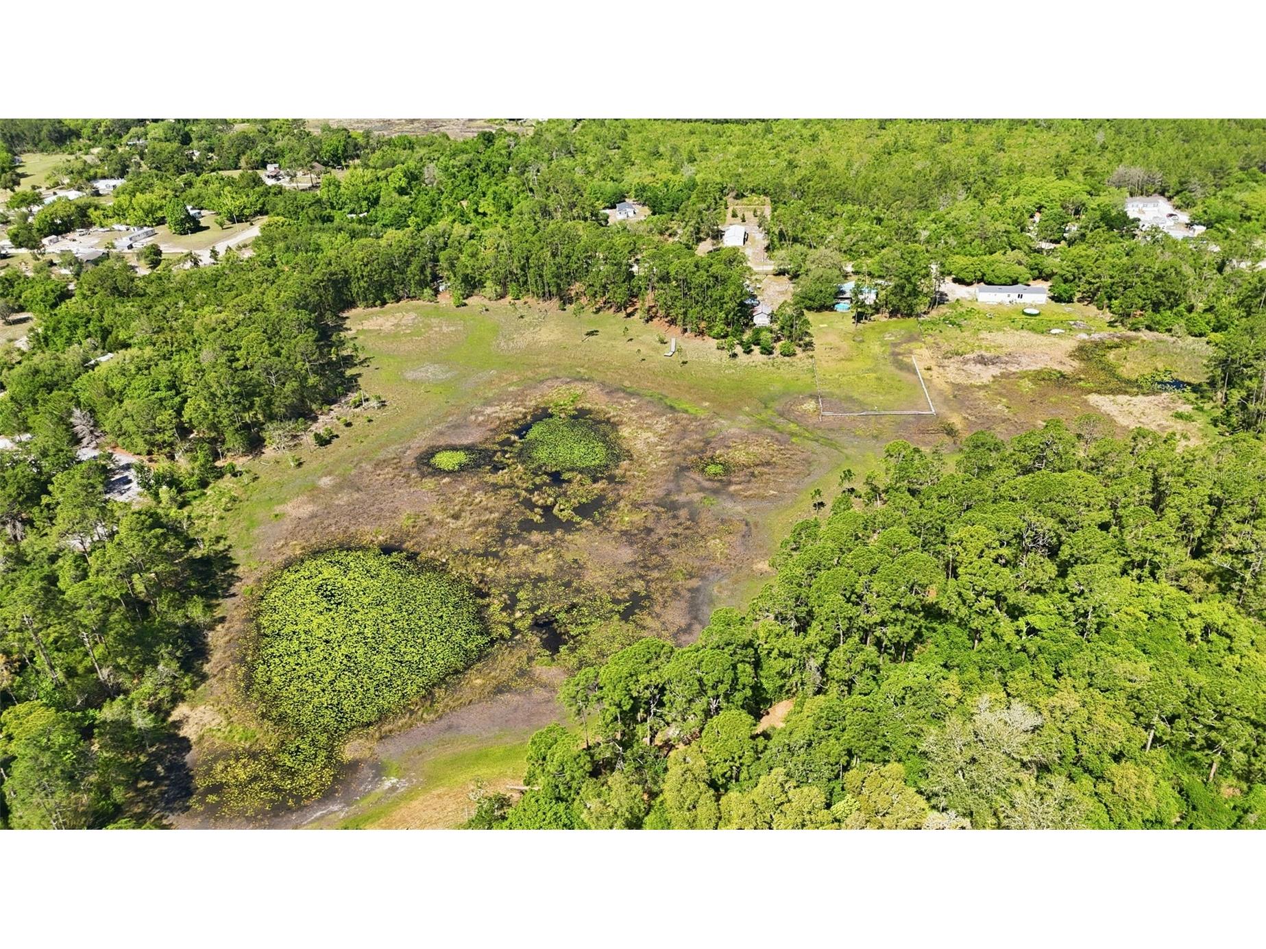 TBD Holly Branch Road Eustis FL 32736 - Deer Lake G5111513 image10