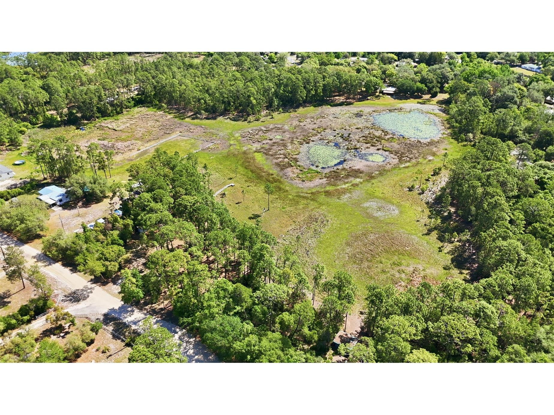 TBD Holly Branch Road Eustis FL 32736 - Deer Lake G5111513 image11