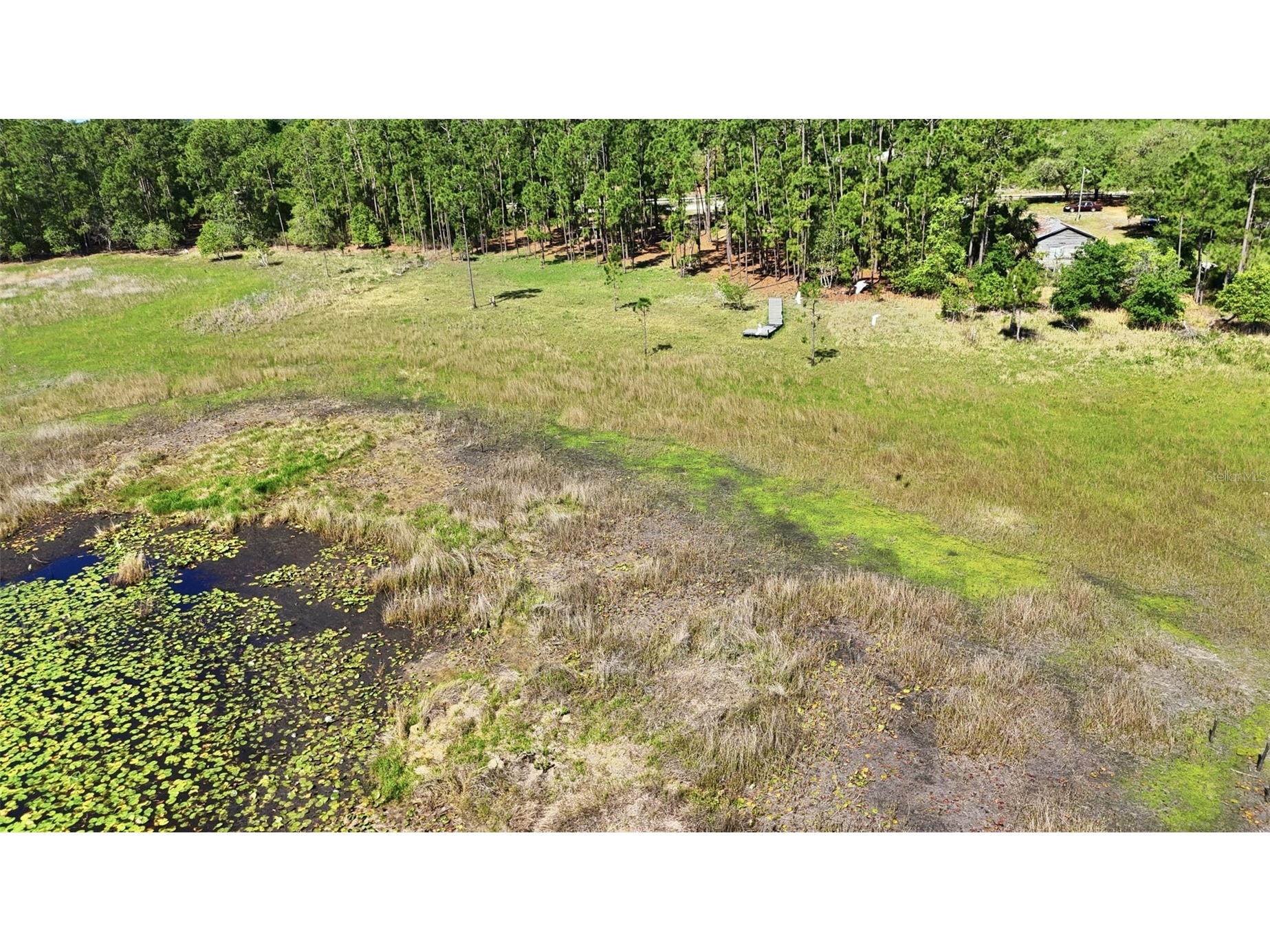 TBD Holly Branch Road Eustis FL 32736 - Deer Lake G5111513 image2