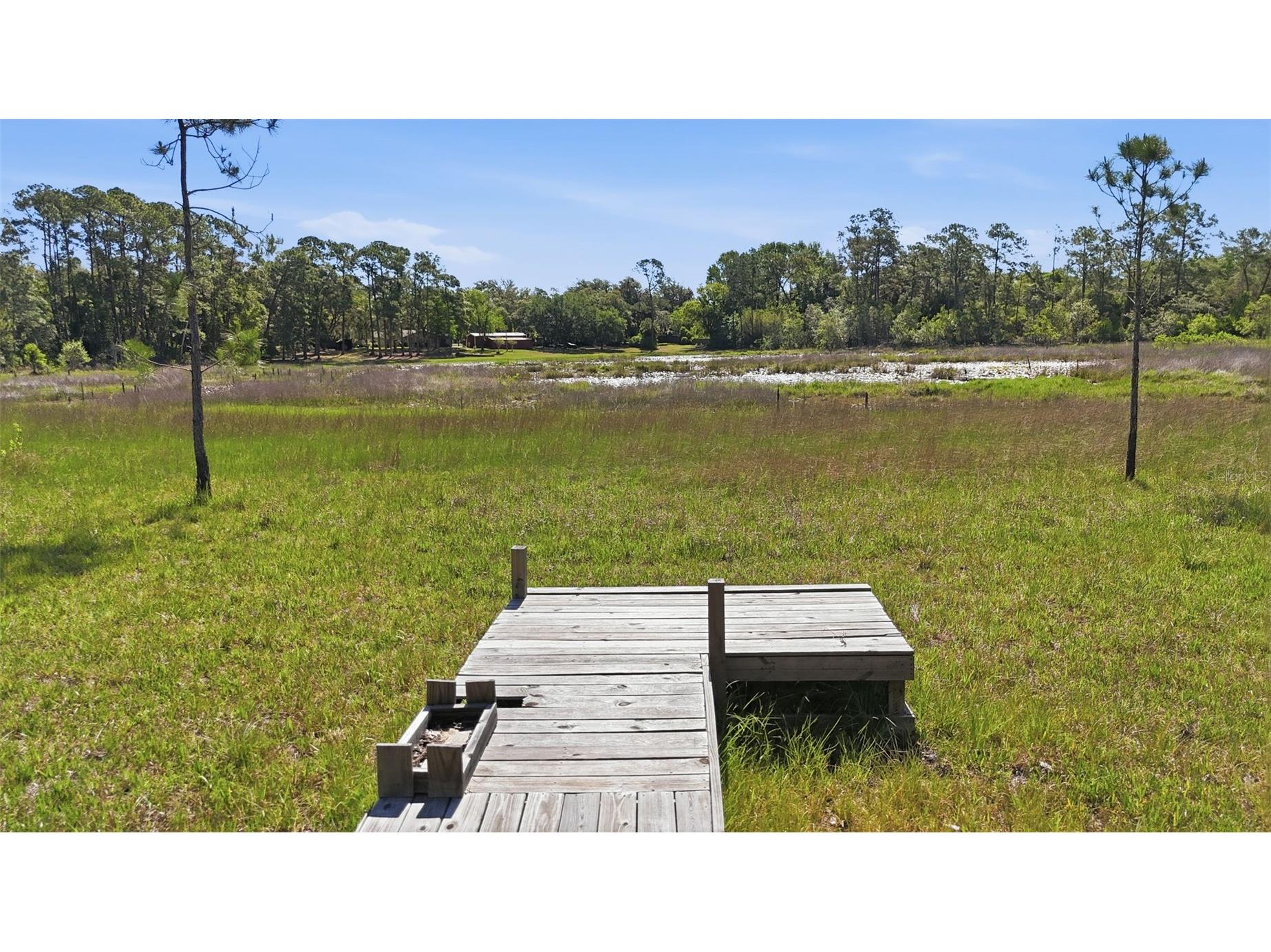 TBD Holly Branch Road Eustis FL 32736 - Deer Lake G5111513 image3