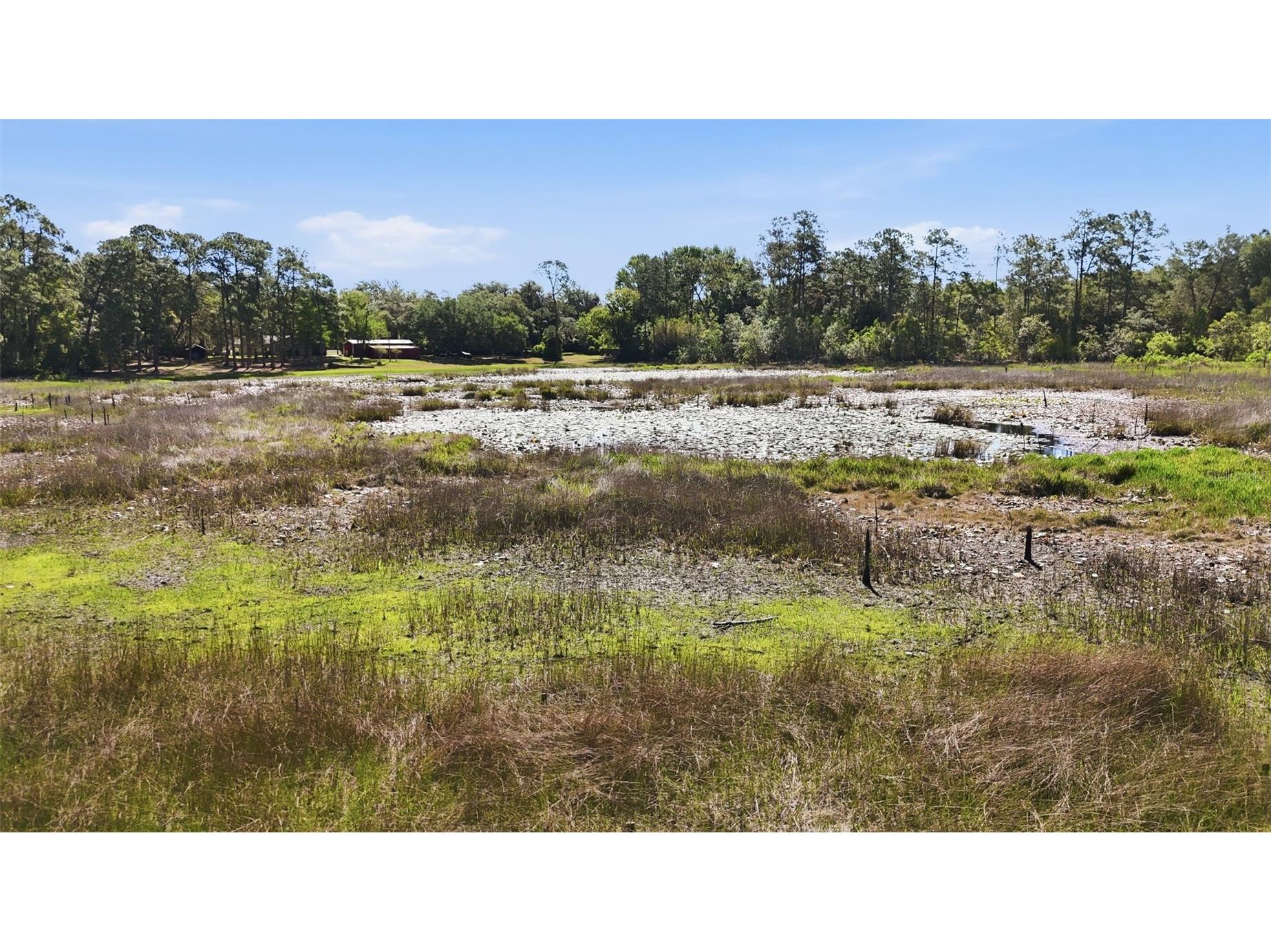 TBD Holly Branch Road Eustis FL 32736 - Deer Lake G5111513 image4