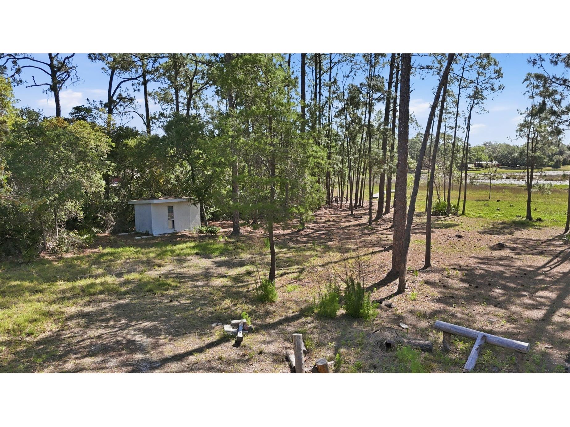 TBD Holly Branch Road Eustis FL 32736 - Deer Lake G5111513 image6