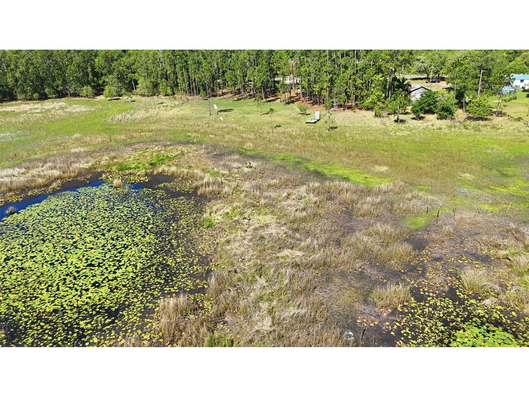 TBD Holly Branch Road Eustis FL 32736 - Deer Lake G5111513 image7