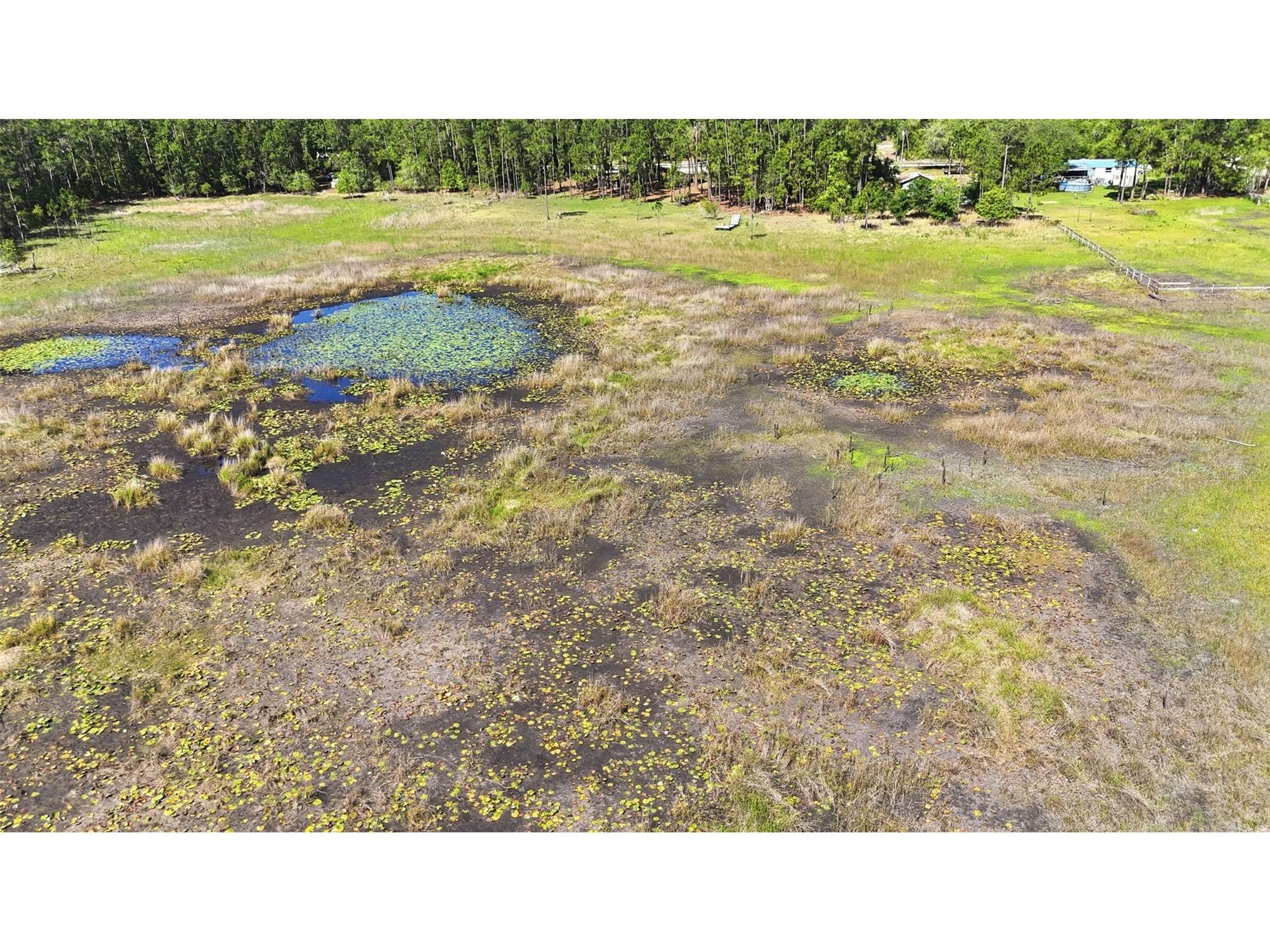 TBD Holly Branch Road Eustis FL 32736 - Deer Lake G5111513 image9