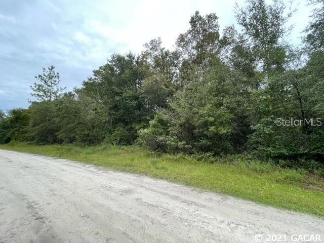TBD Homestead Circle Fort White FL 32038 GC502506 image1