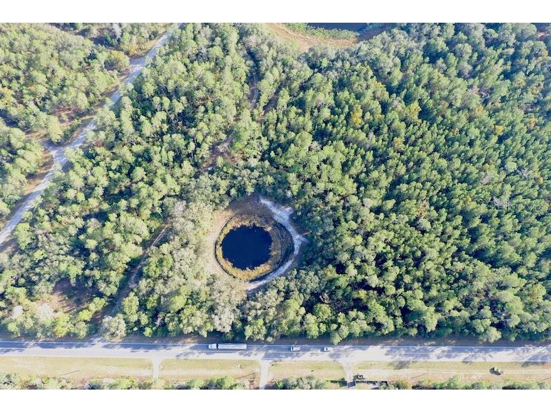 TBD Hwy 318 Fort Mc Coy FL 32134 OM668586 image1