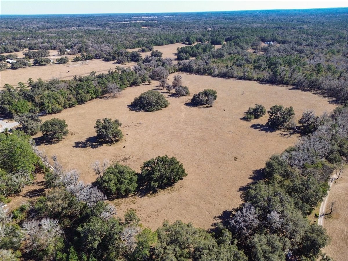 TBD Hwy 329 Micanopy FL 32667 GC536882 image1