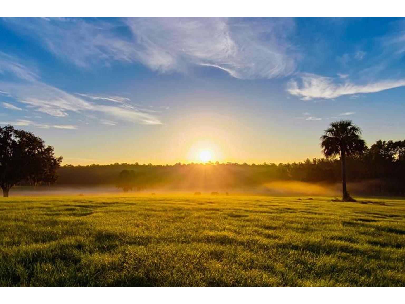 TBD Hwy 329 Reddick FL 32686 OM715268 image1