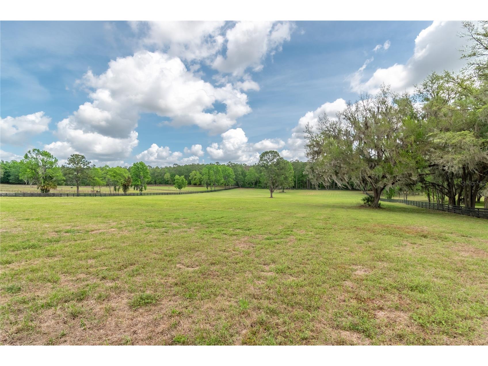 TBD Hwy 329 Reddick FL 32686 OM715268 image11