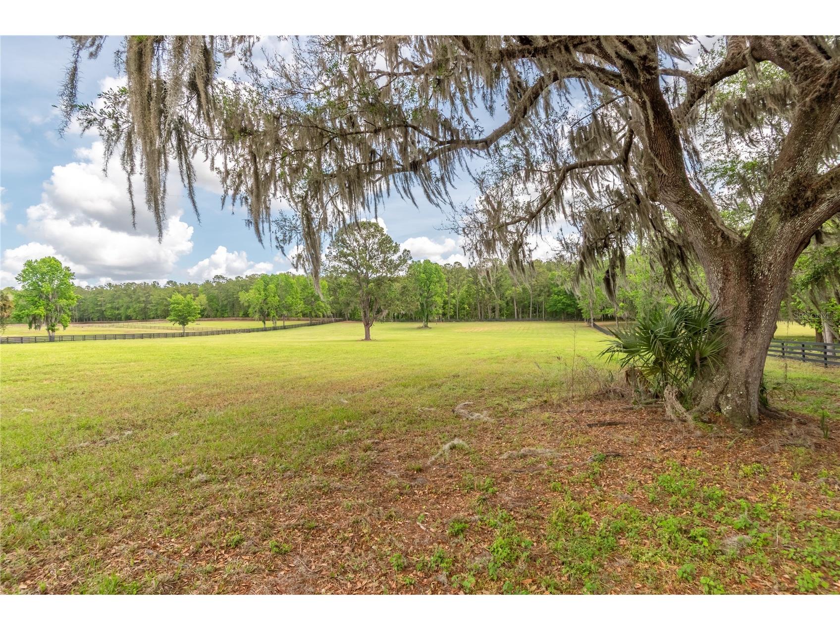 TBD Hwy 329 Reddick FL 32686 OM715268 image12