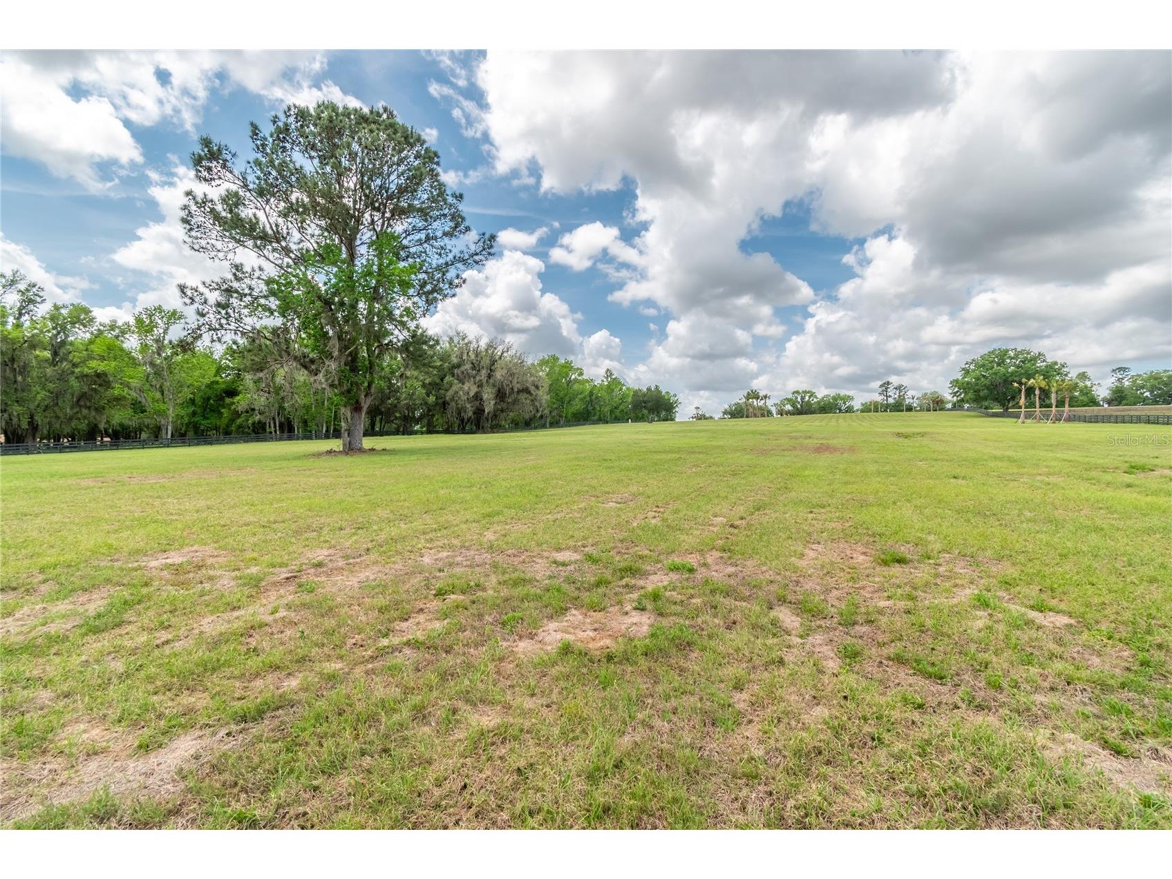 TBD Hwy 329 Reddick FL 32686 OM715268 image13