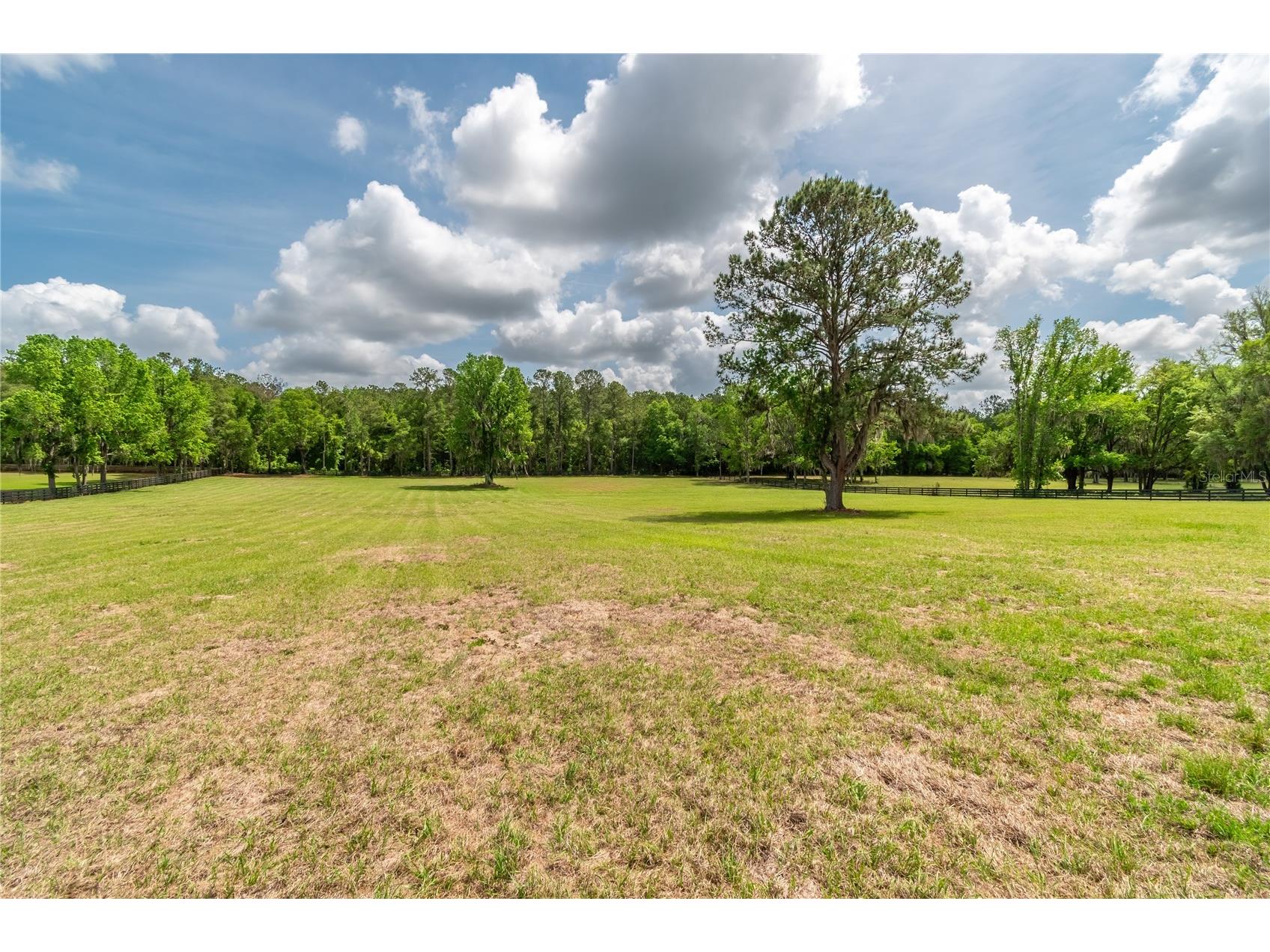 TBD Hwy 329 Reddick FL 32686 OM715268 image14