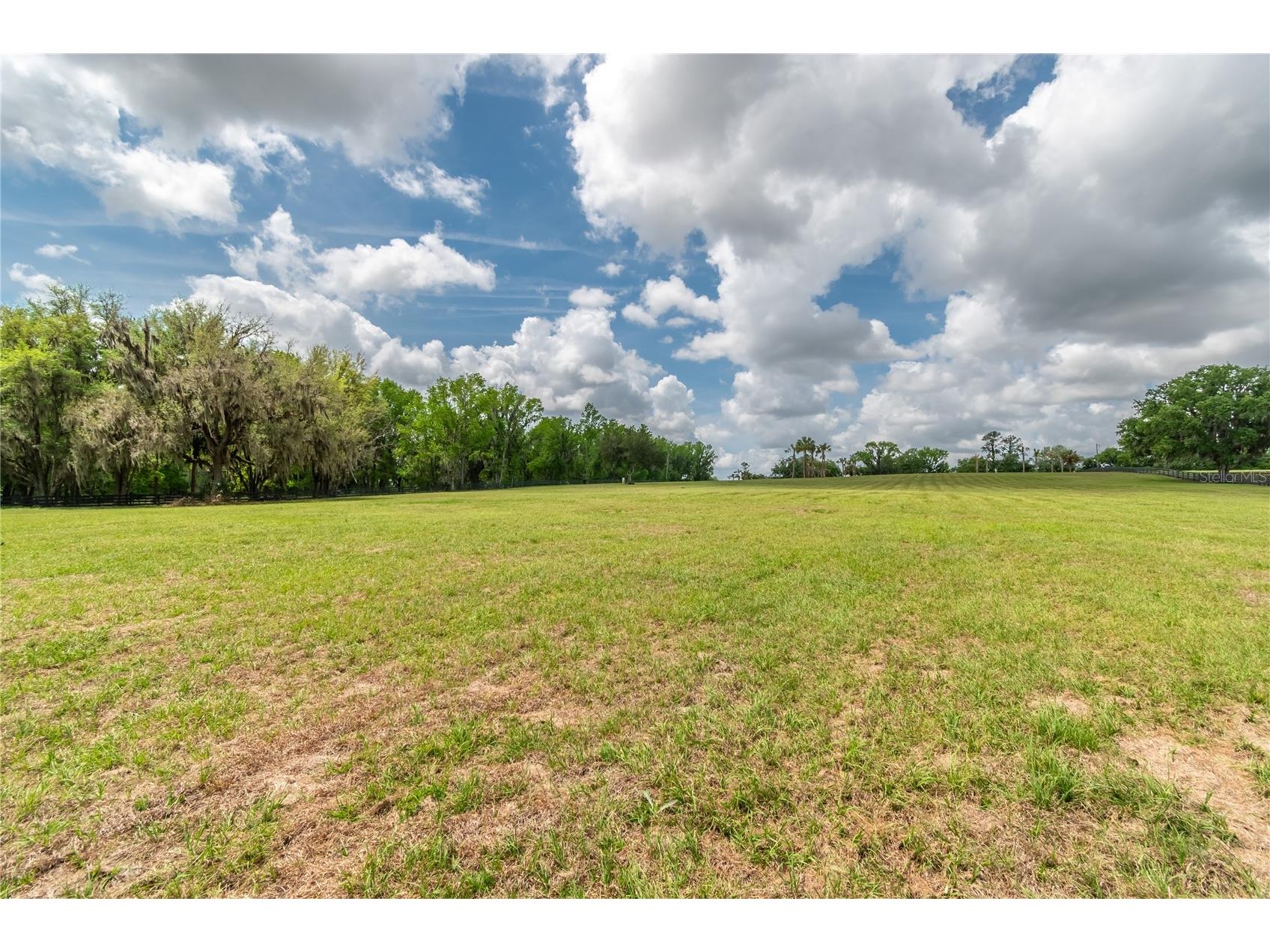 TBD Hwy 329 Reddick FL 32686 OM715268 image15