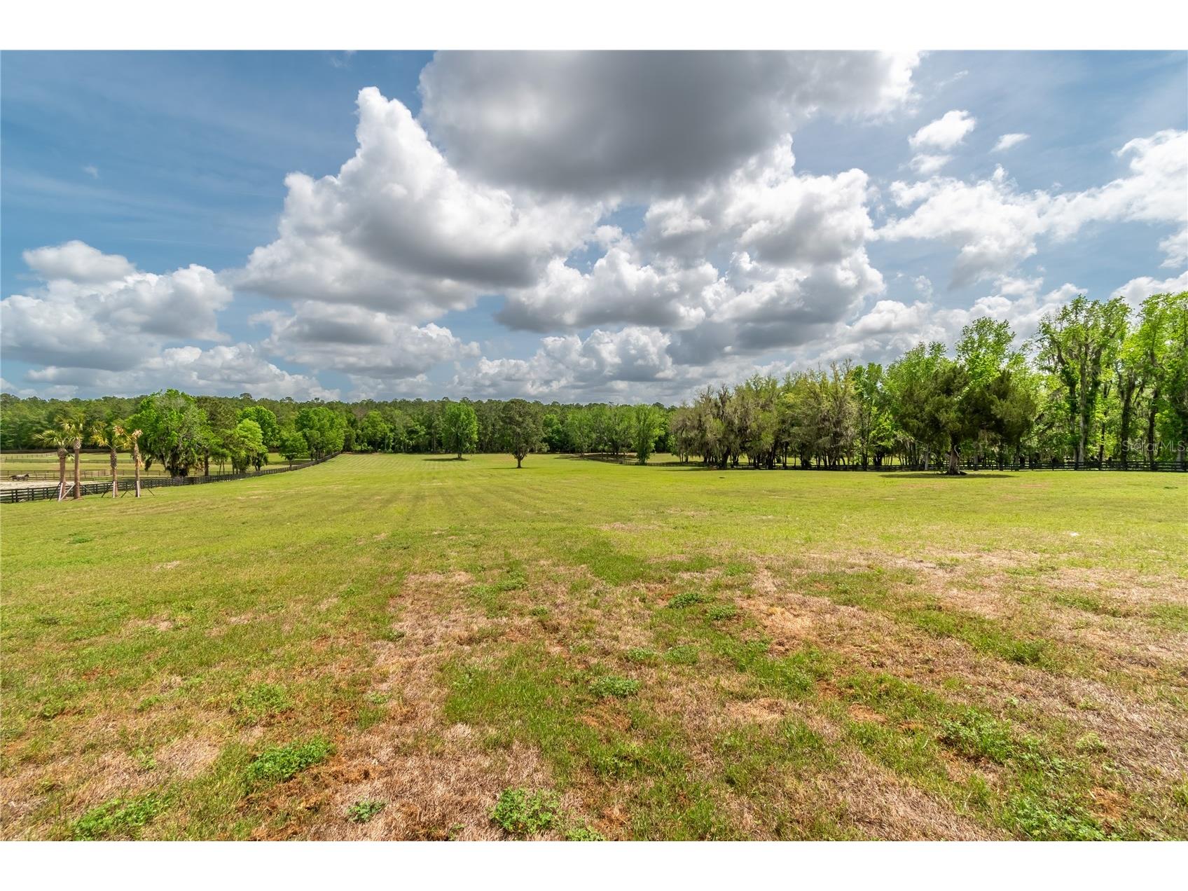 TBD Hwy 329 Reddick FL 32686 OM715268 image16