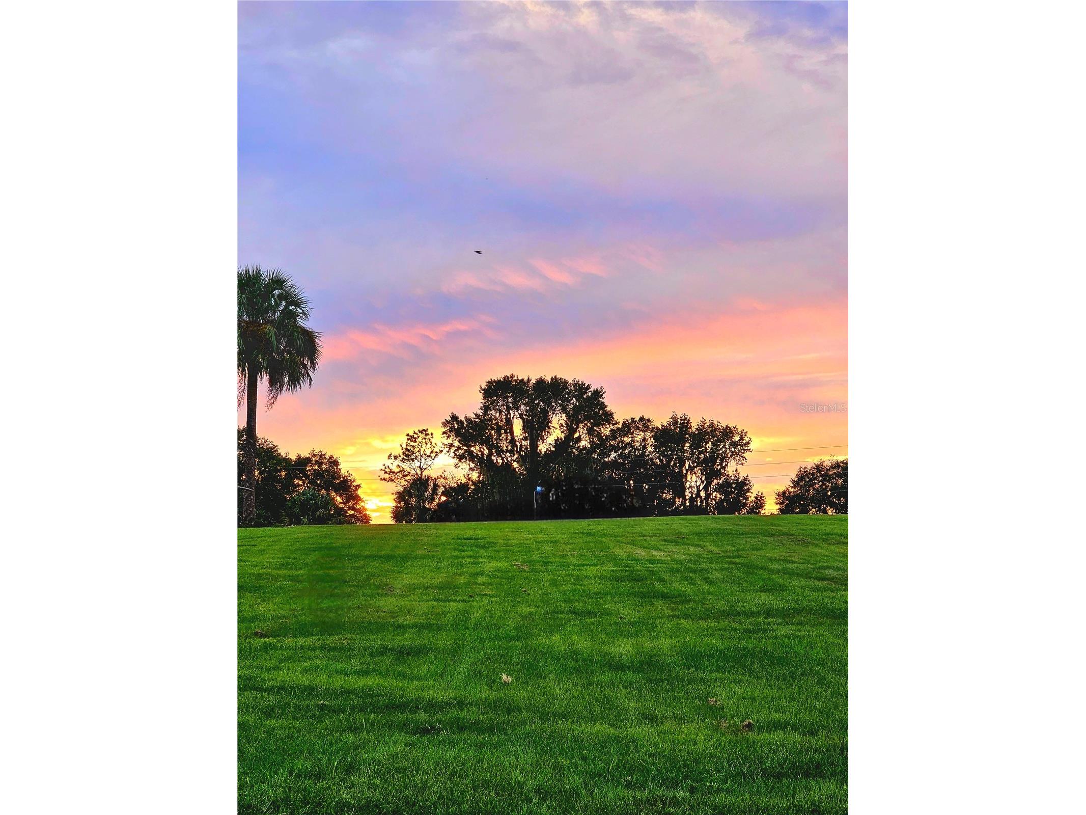 TBD Hwy 329 Reddick FL 32686 OM715268 image20