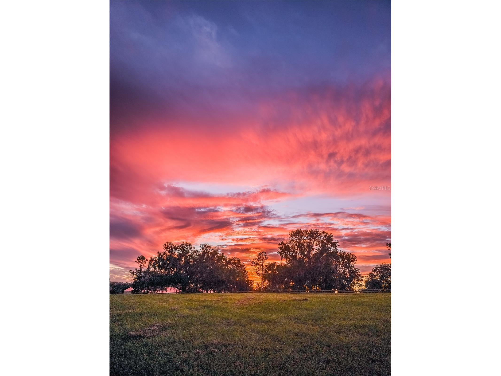 TBD Hwy 329 Reddick FL 32686 OM715268 image26