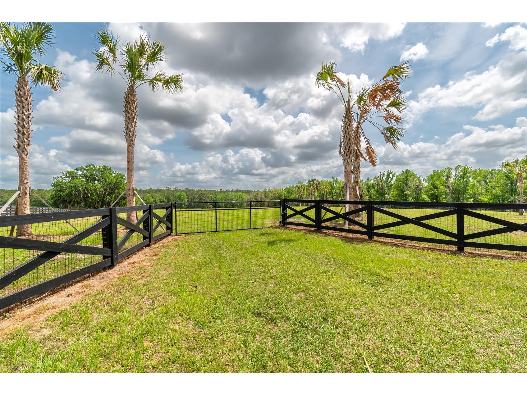 TBD Hwy 329 Reddick FL 32686 OM715268 image3