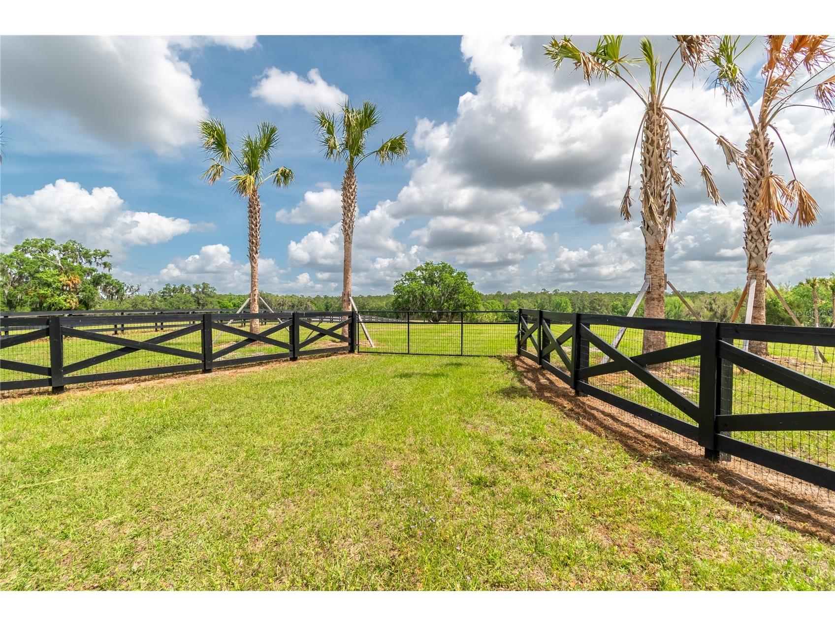 TBD Hwy 329 Reddick FL 32686 OM715268 image4
