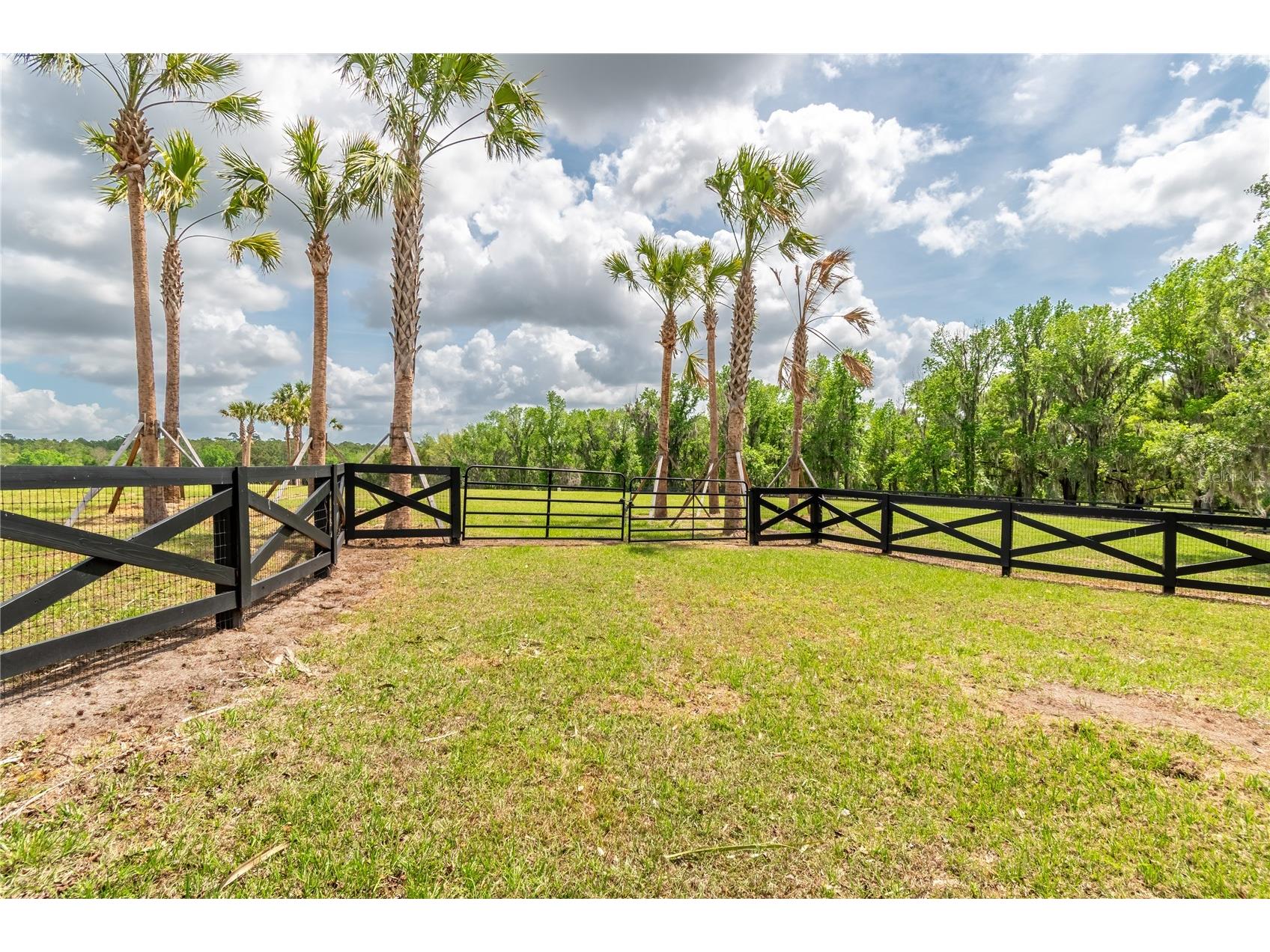 TBD Hwy 329 Reddick FL 32686 OM715268 image5