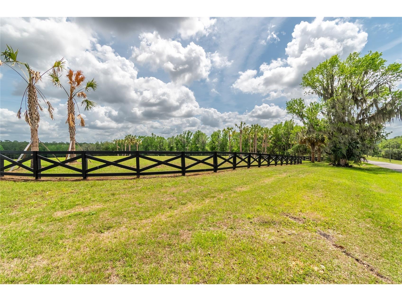 TBD Hwy 329 Reddick FL 32686 OM715268 image6