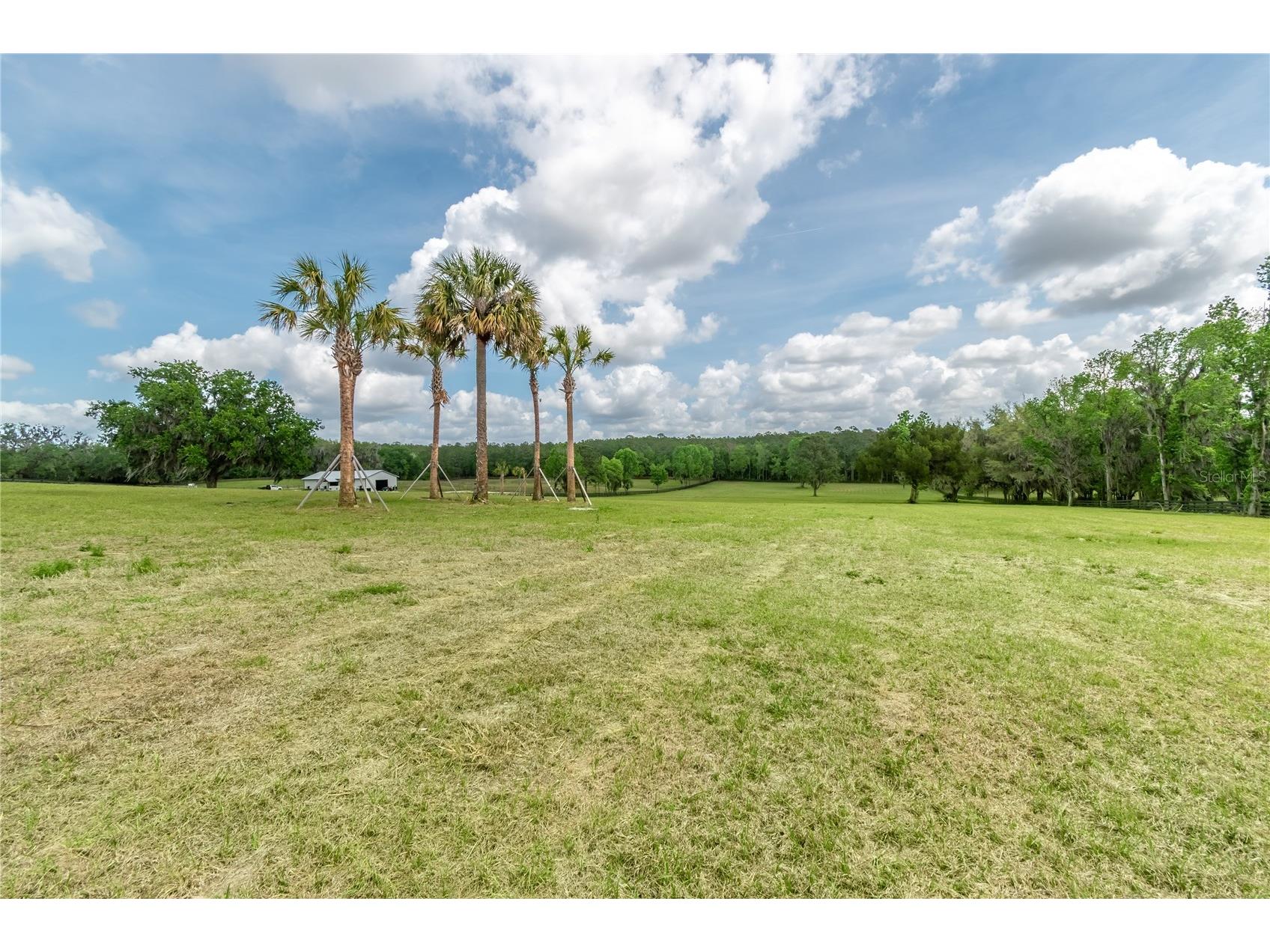 TBD Hwy 329 Reddick FL 32686 OM715268 image7