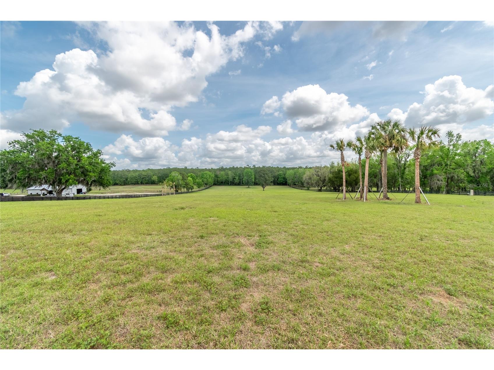 TBD Hwy 329 Reddick FL 32686 OM715268 image8
