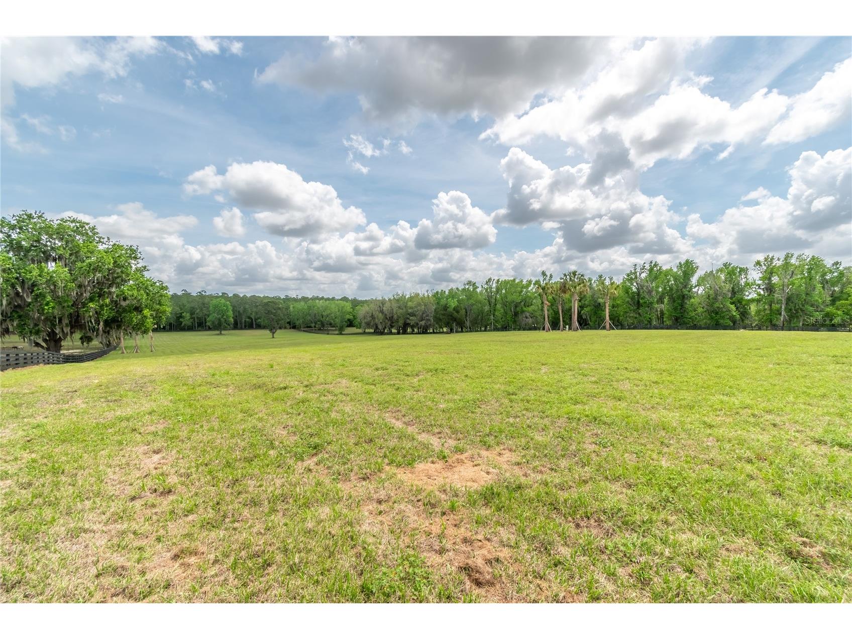 TBD Hwy 329 Reddick FL 32686 OM715268 image9