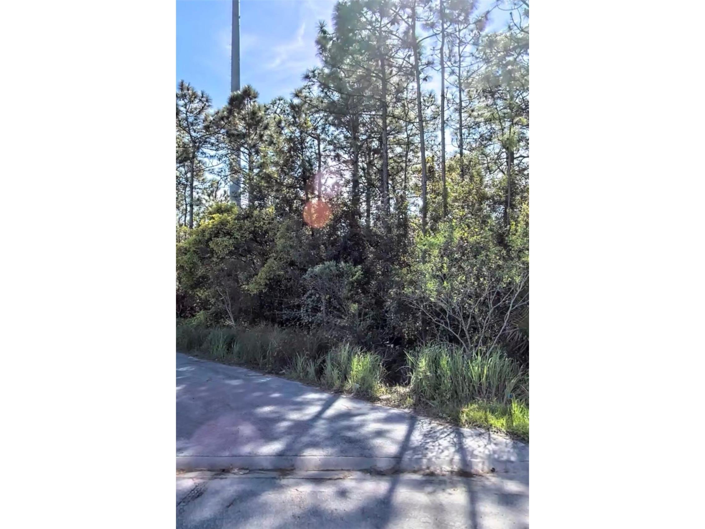 TBD International Drive S Orlando FL 32821 OM727345 image1