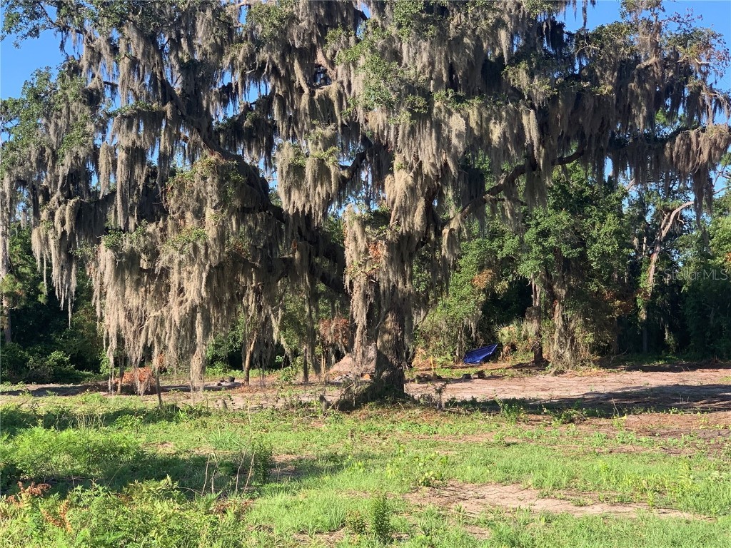 TBD Jackson Court Okahumpka FL 34762 O6208213 image1