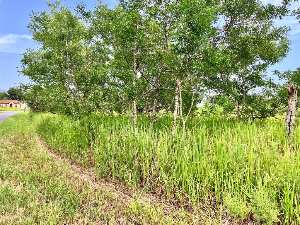 TBD Juniper Loop Circle Ocala FL 34480 OM644276 image1