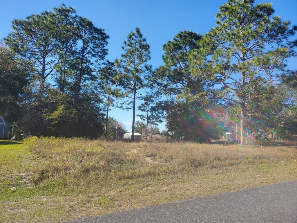 TBD Juniper Trak Ocala FL 34480 OM672457 image1