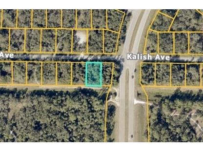 TBD Kalish Avenue North Port FL 34286 OM698396 image1