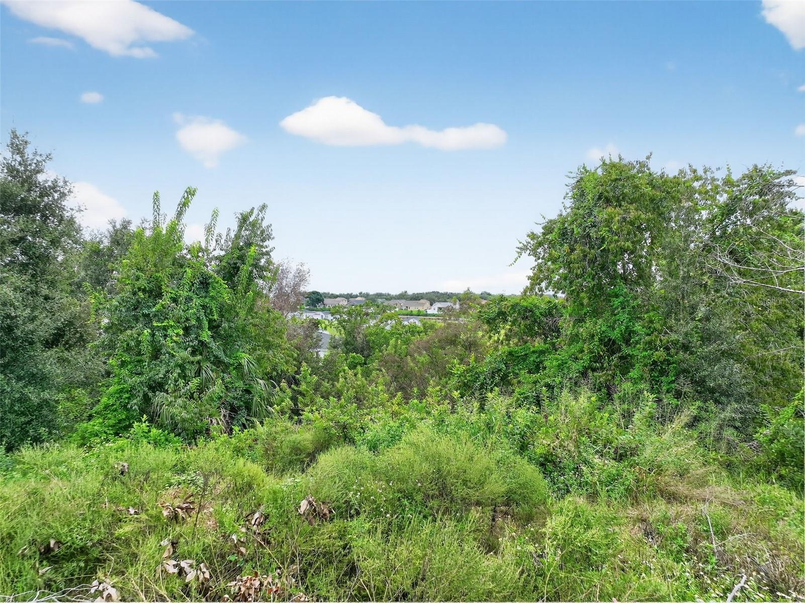 TBD Kanuba Court Clermont FL 34711 G5101868 image11