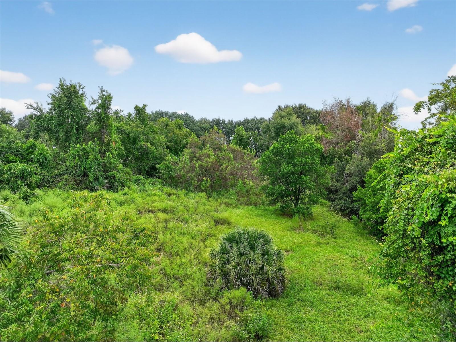 TBD Kanuba Court Clermont FL 34711 G5101868 image12