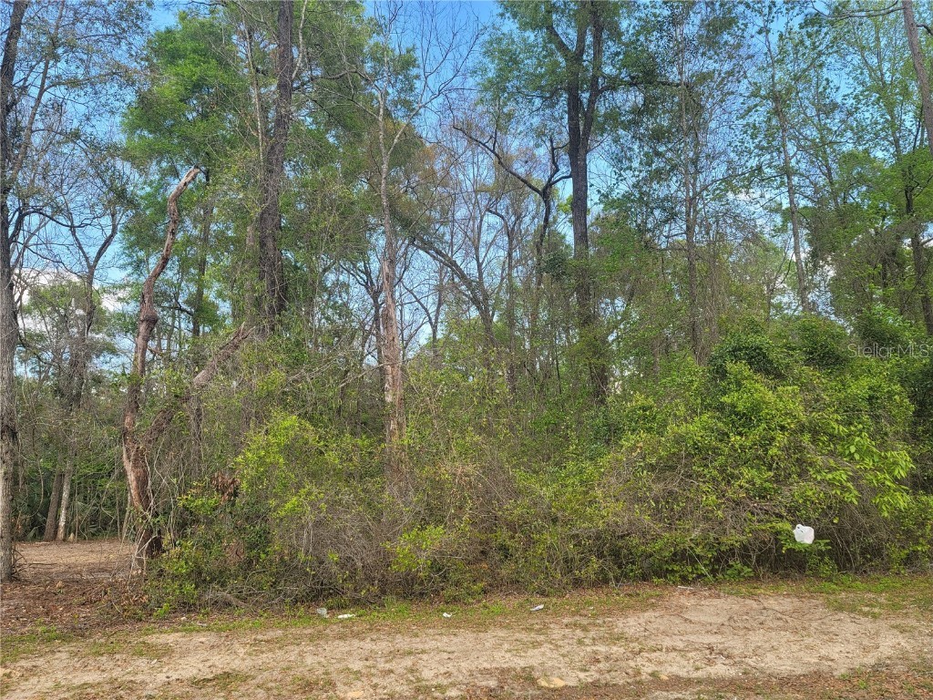 TBD Katherine Way #LOT 40 Fanning Springs FL 32693 GC512036 image1