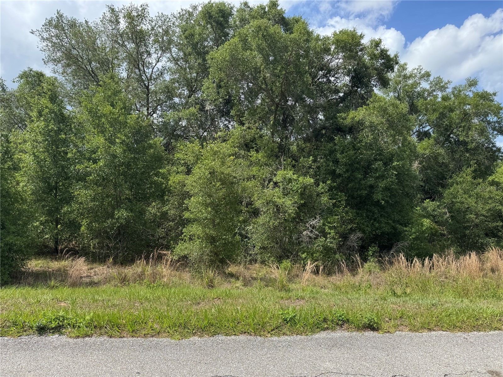 TBD Keene Road Altoona FL 32702 G5112513 image1