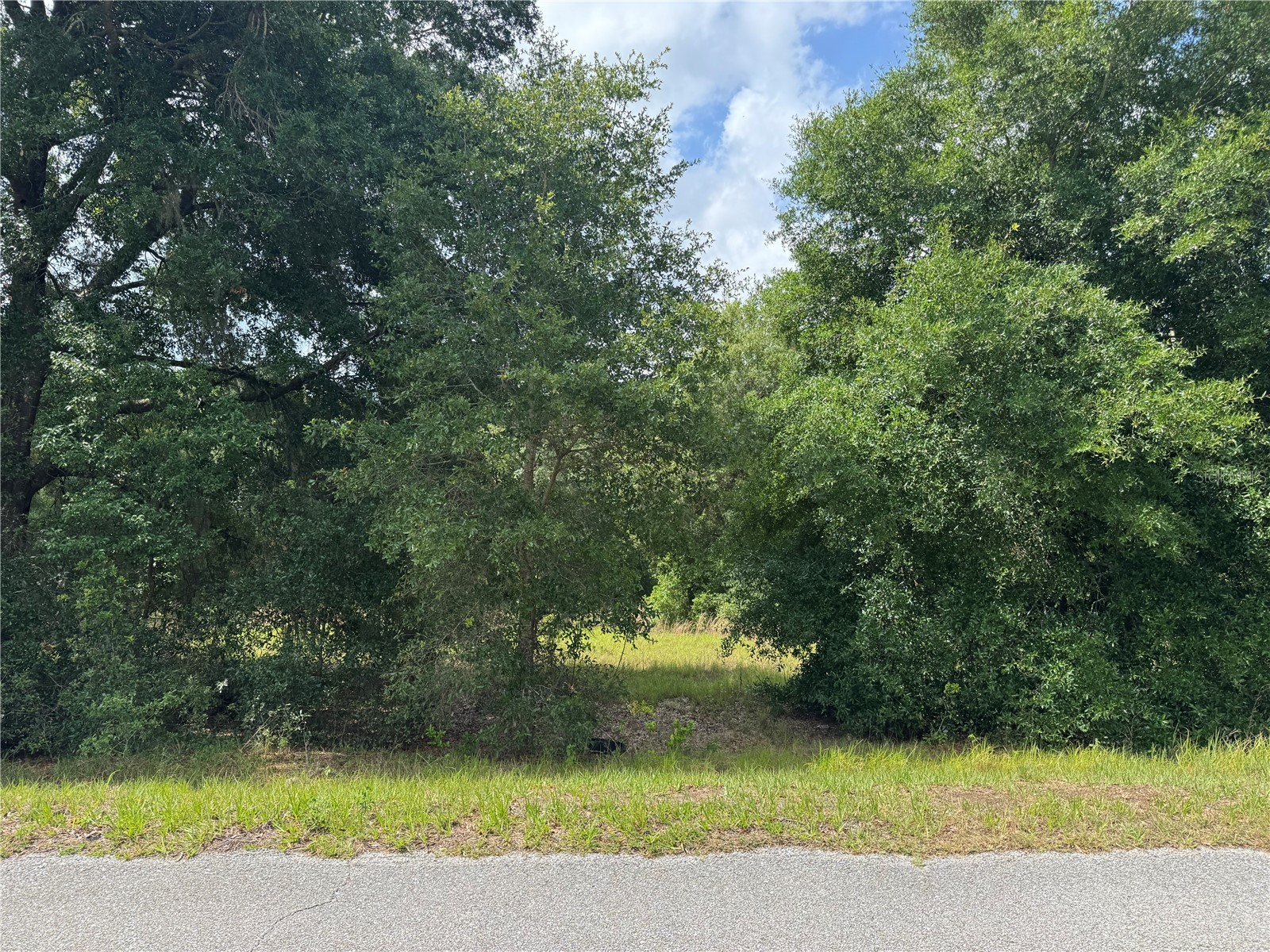 TBD Keene Road Altoona FL 32702 G5112552 image1