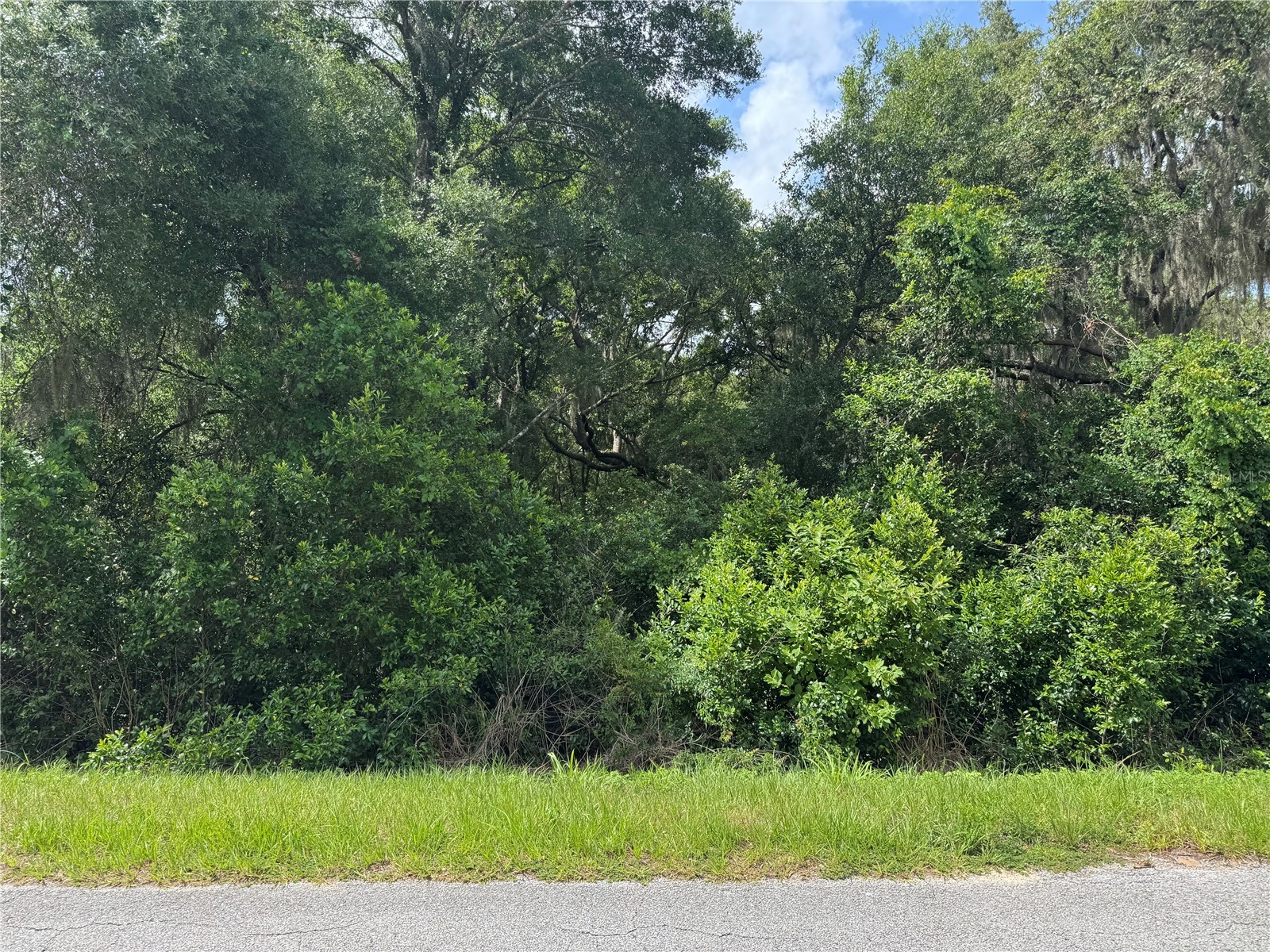 TBD Keene Road Altoona FL 32702 G5112554 image1