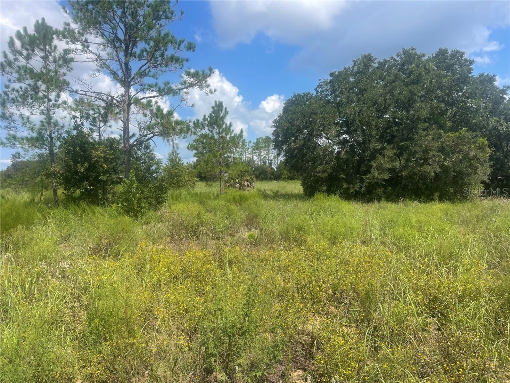 TBD Keene Road Umatilla FL 32784 G5102243 image2
