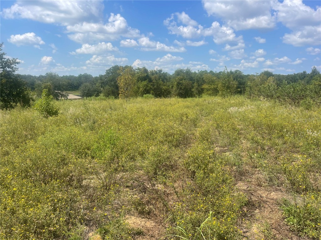 TBD Keene Road Umatilla FL 32784 G5102243 image3