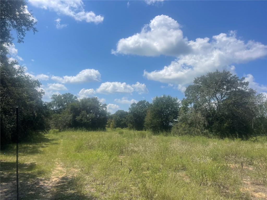 TBD Keene Road Umatilla FL 32784 G5102828 image1