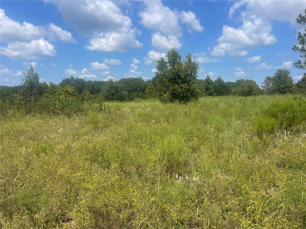 TBD Keene Road Umatilla FL 32784 G5102828 image3