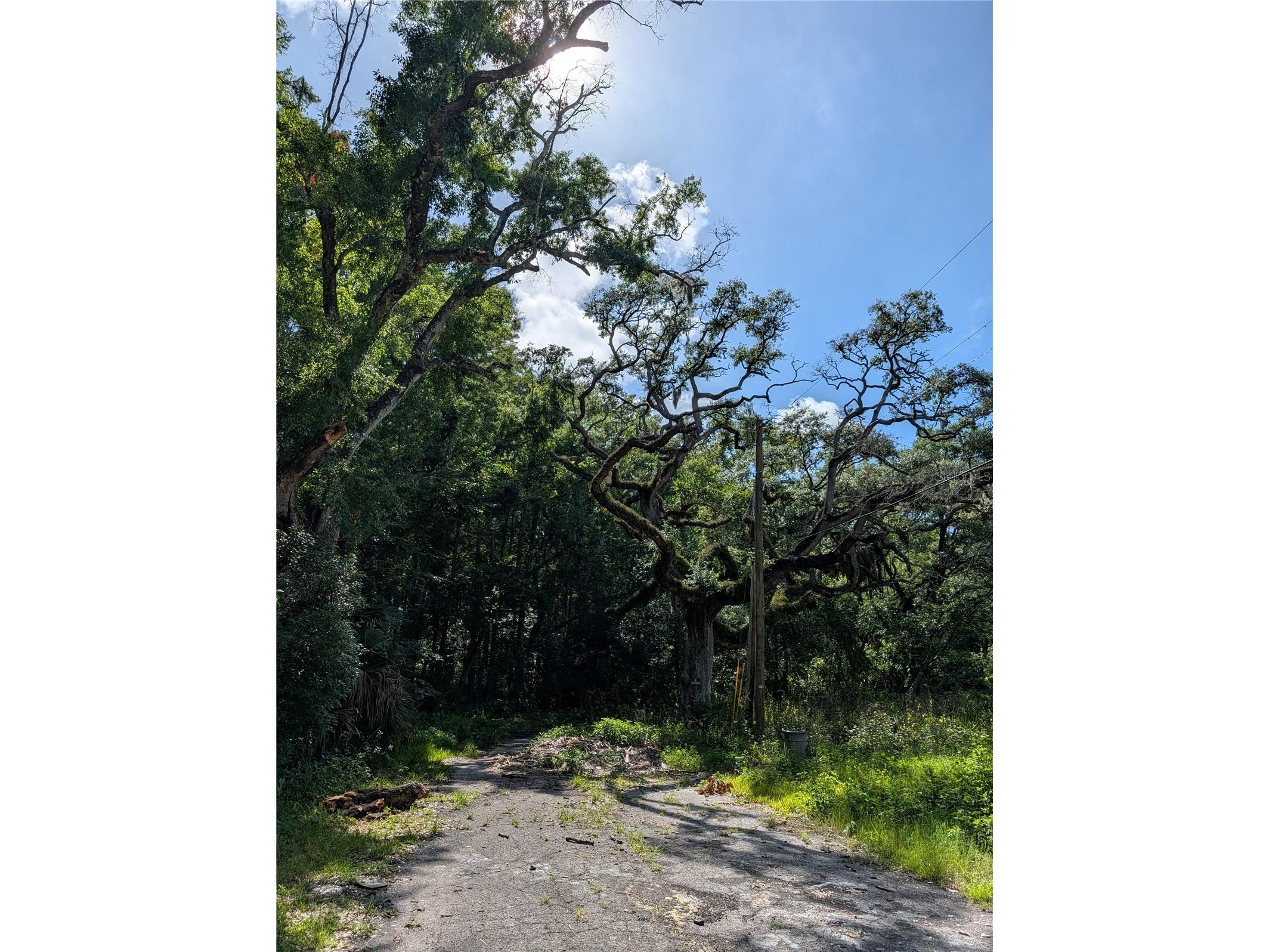 TBD Kiowa New Port Richey FL 34654 W7886261 image1