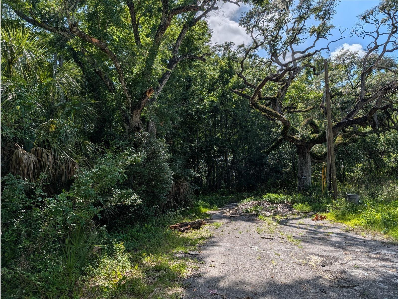 TBD Kiowa New Port Richey FL 34654 W7886261 image2