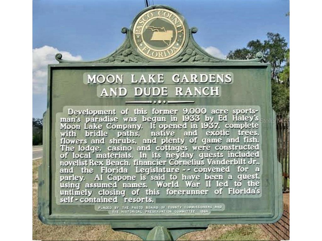 TBD Ladd Ave New Port Richey FL 34654 W7876693 image10