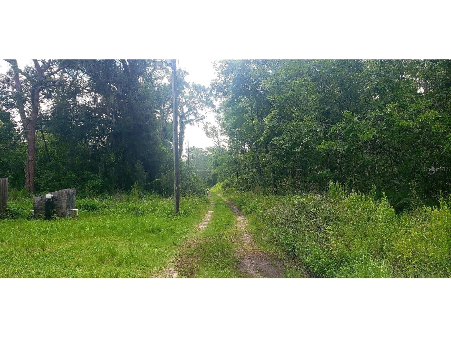 TBD Ladd Ave New Port Richey FL 34654 W7876693 image2