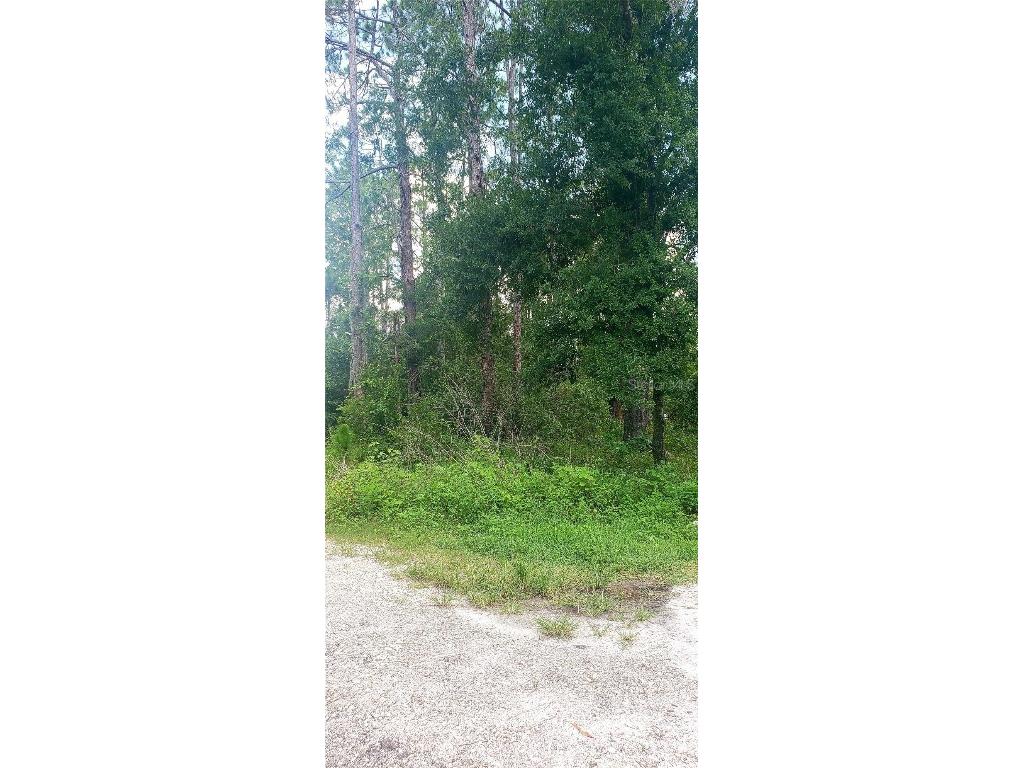 TBD Ladd Ave New Port Richey FL 34654 W7876693 image5