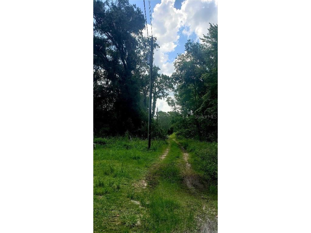 TBD Ladd Ave New Port Richey FL 34654 W7876693 image7