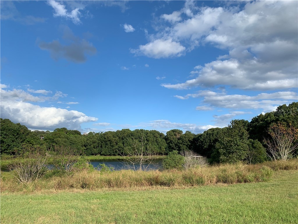 TBD Lake Burns Road Umatilla FL 32784 OM616112 image1