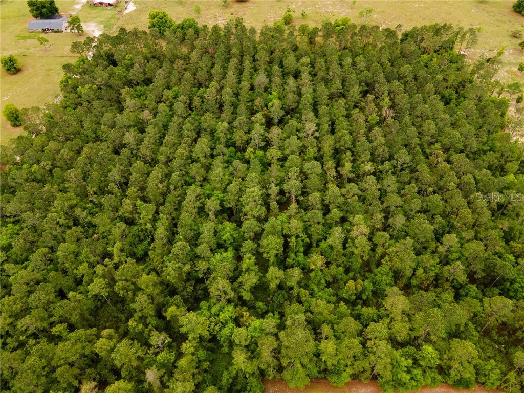 TBD Lake Seneca Road Eustis FL 32726 OM675313 image1